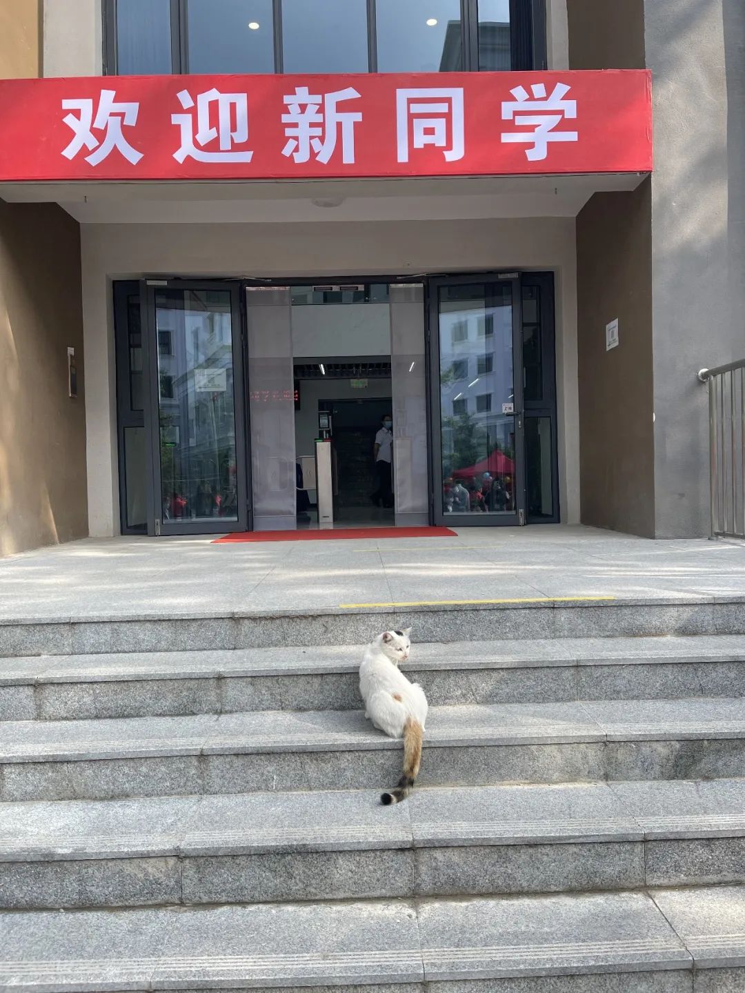 109dd4124e6e4bb589cc23bcdae918d6.jpg 109dd4124e6e4bb589cc23bcdae918d6.jpg