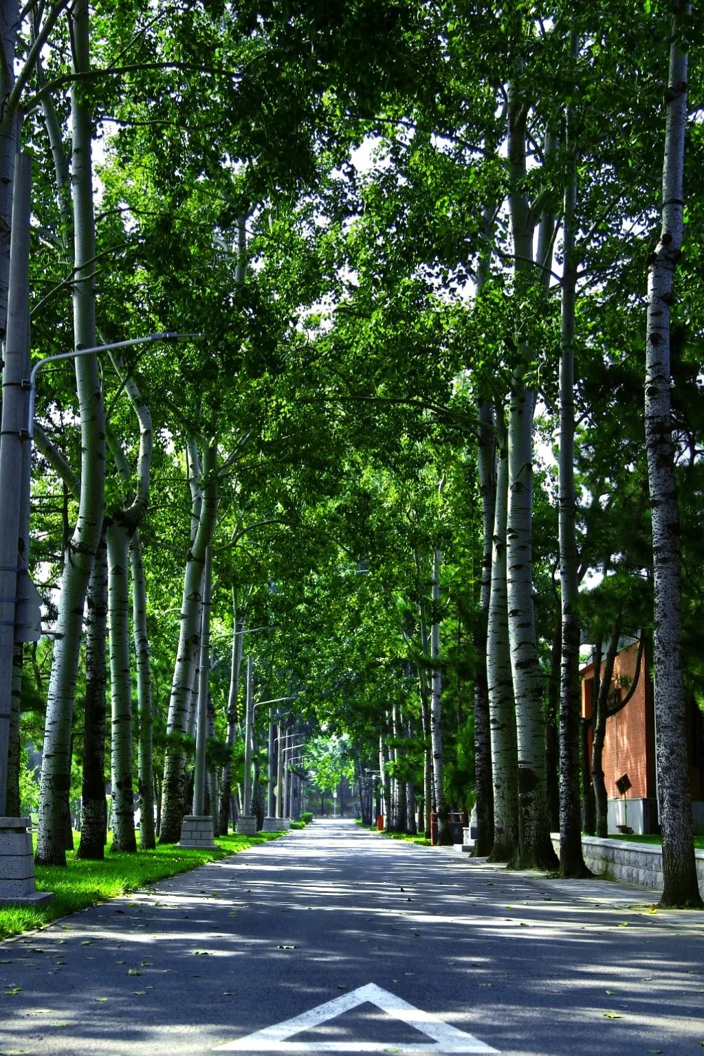 052e414464aa4a5ab0109b17ba1bb625.jpg 052e414464aa4a5ab0109b17ba1bb625.jpg