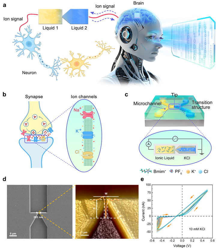 fc52458002fd4476bb738f30bd034350.png fc52458002fd4476bb738f30bd034350.png